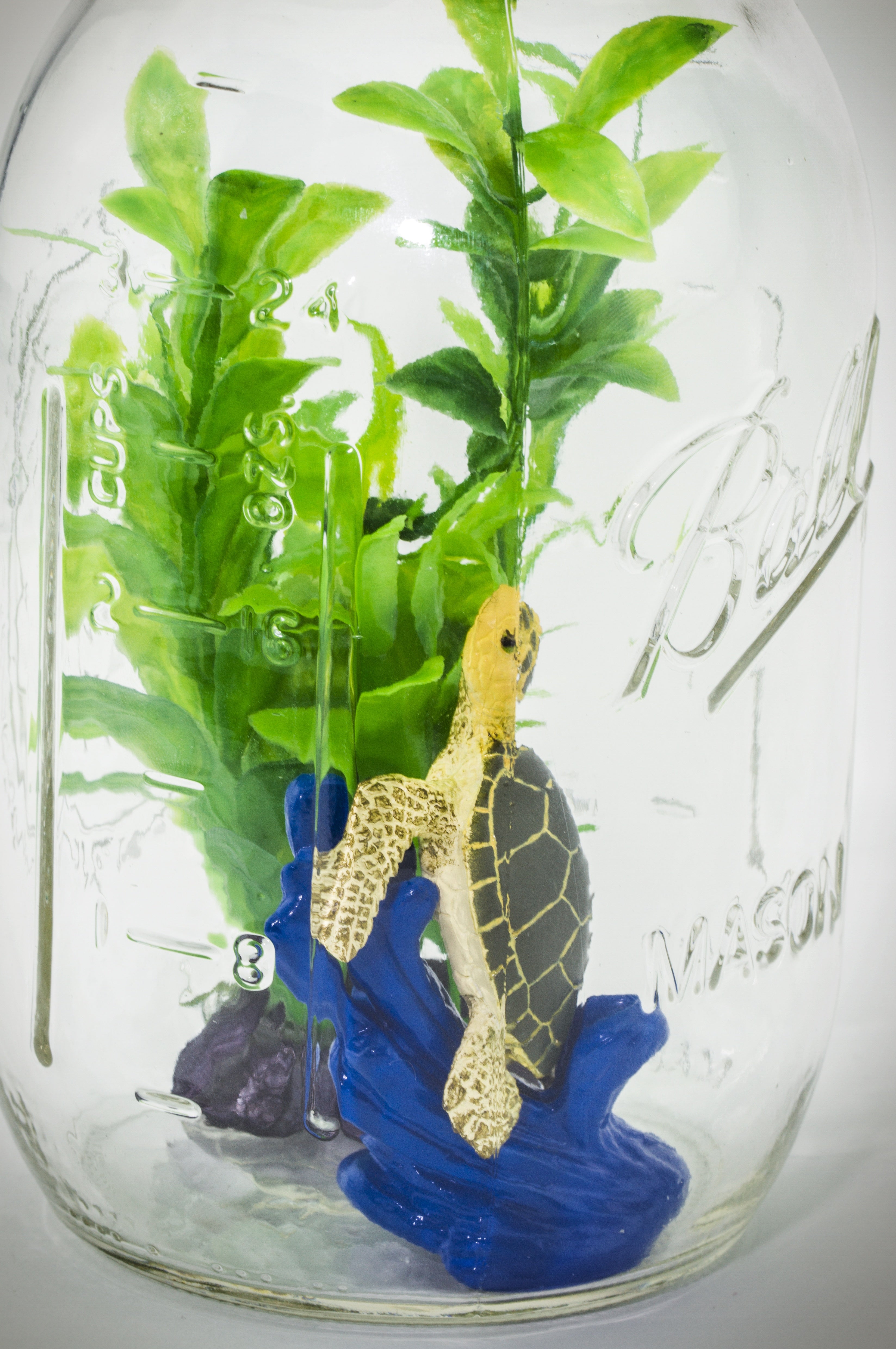 DIY Mason Jar Aquarium