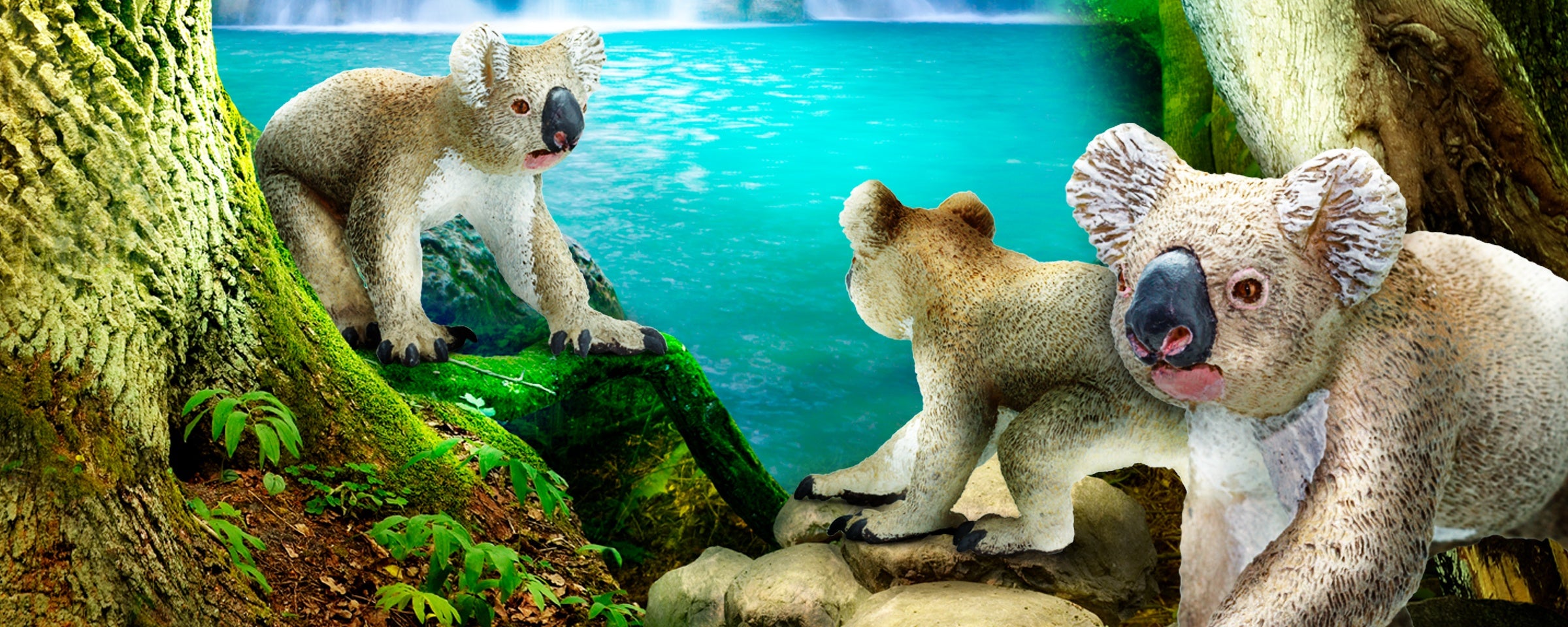 Get Wild & Crazy for Wild Koala Day! | Safari Ltd®