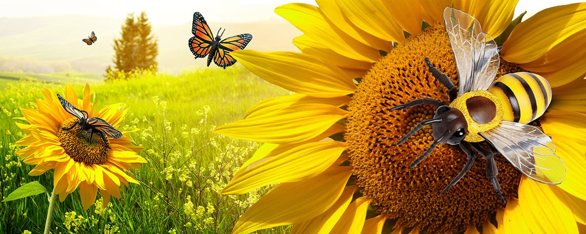 Pollinator Week - What's Making Pollinators Weak? - Safari Ltd®