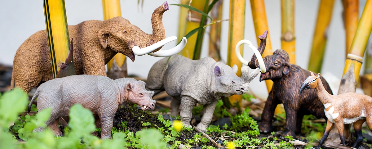 Prehistoric Mammals Predators