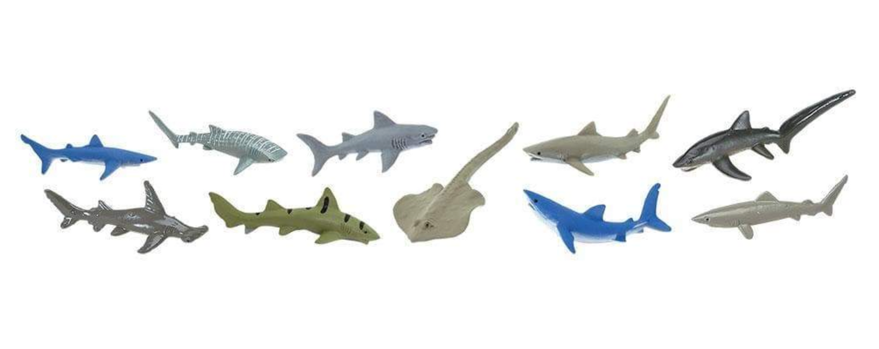 How to Teach your Children about Shark Conservation - Safari Ltd®
