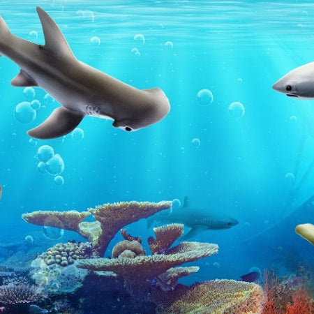 The Strangest Sharks in the Sea - Safari Ltd®