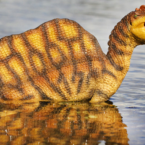What are The Top 10 Prehistoric Sea Animals? - Safari Ltd®