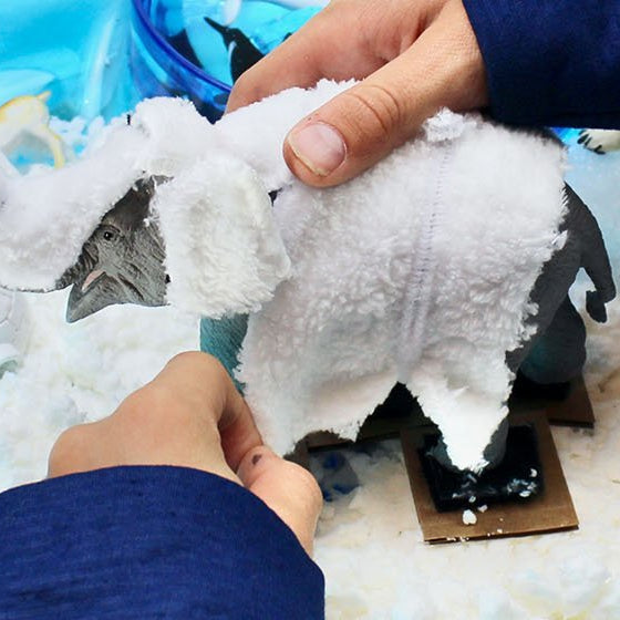 A Fun and Simple Winter Adaptation STEM Challenge - Safari Ltd®