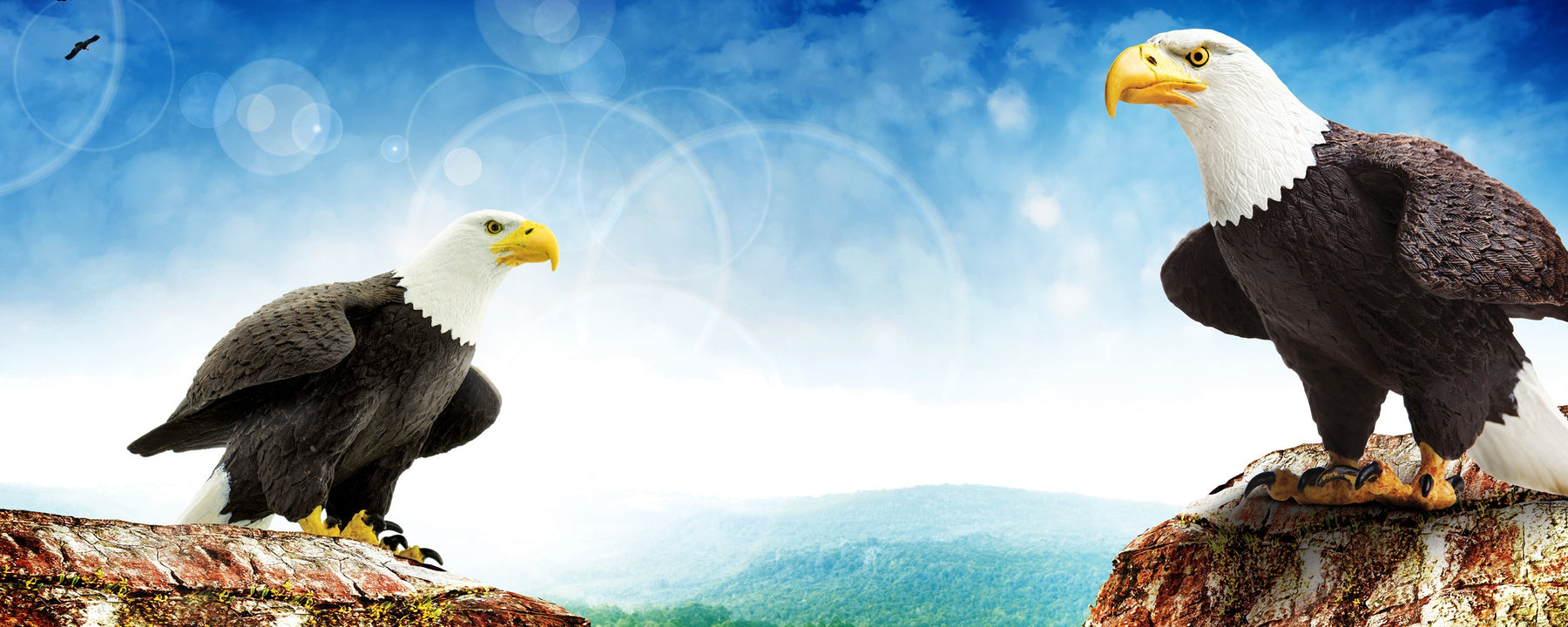 Flying High for American Eagle Day! - Safari Ltd®