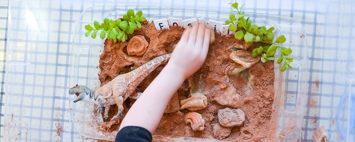Dinosaur Series: Create Your Own Fossil Dig | Safari Ltd®