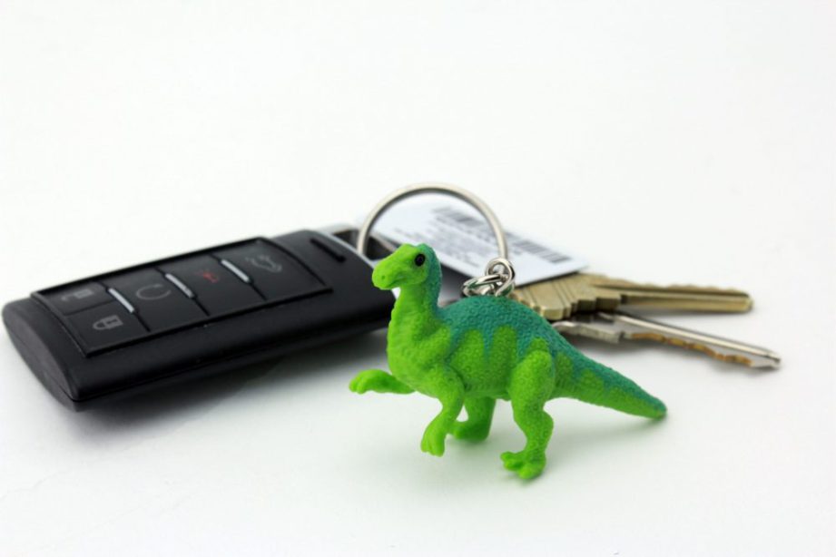 DIY Animal Key Chains - Safari Ltd®