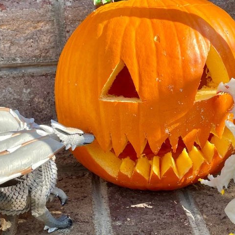 Do Dragons Eat Pumpkins? - Safari Ltd®