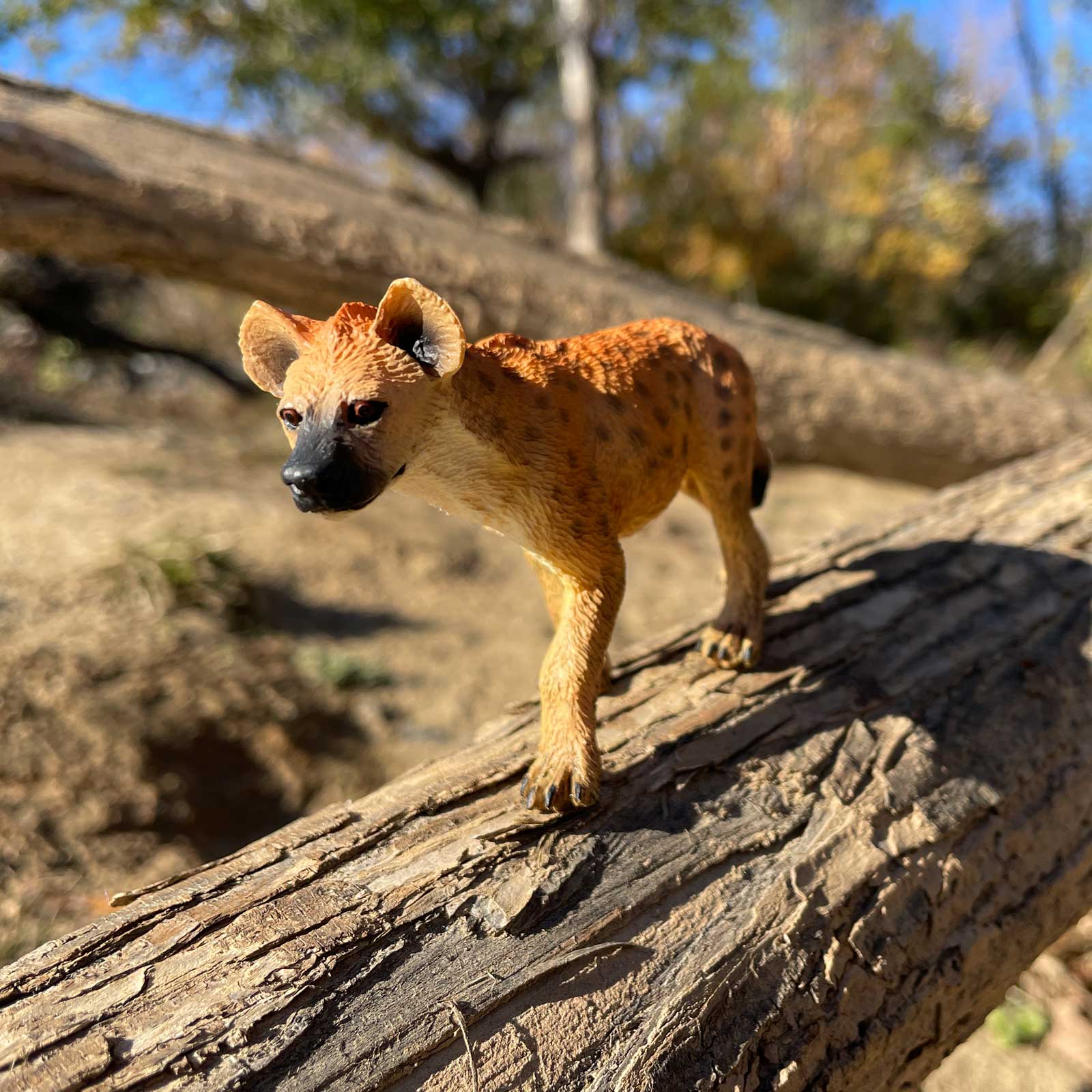 Best Animal Figurines for Learning About Habitats & Ecosystems