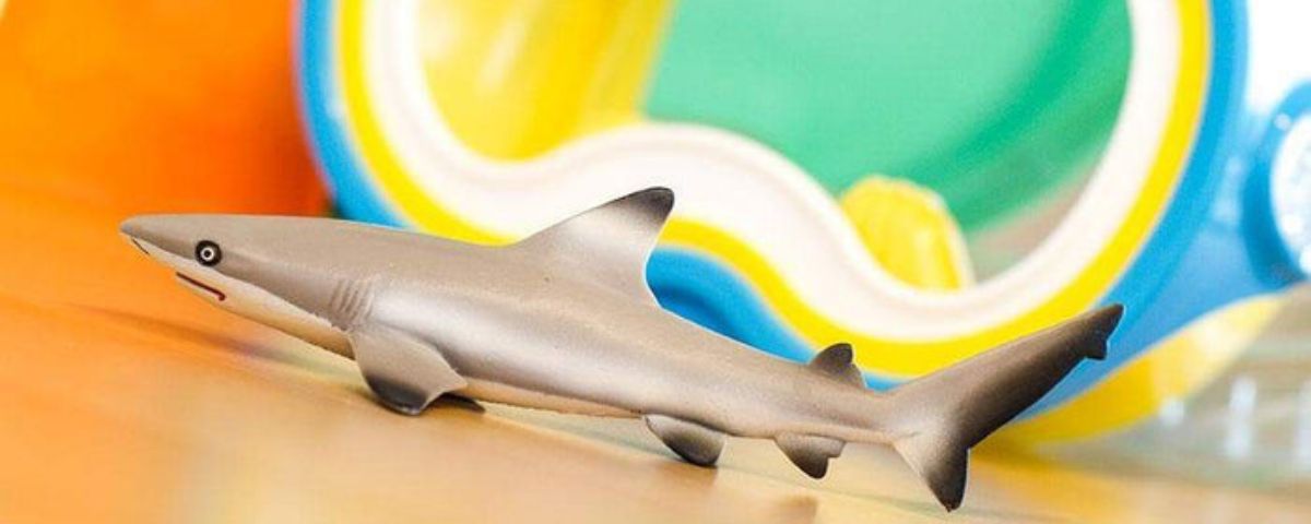 How To Create an Ocean Sensory Bin for Your Kids - Safari Ltd®