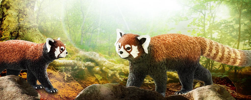 Is a Red Panda a Panda? | Safari Ltd®