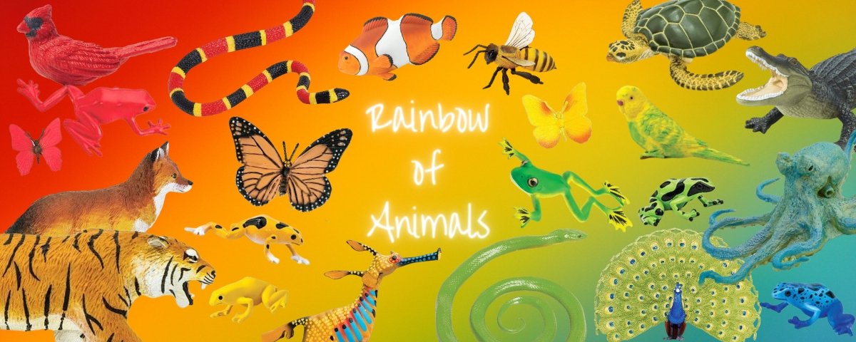 It’s a Colorful World - A Rainbow of Feathers, Fins, Fur, Scales, and Shells - Safari Ltd®