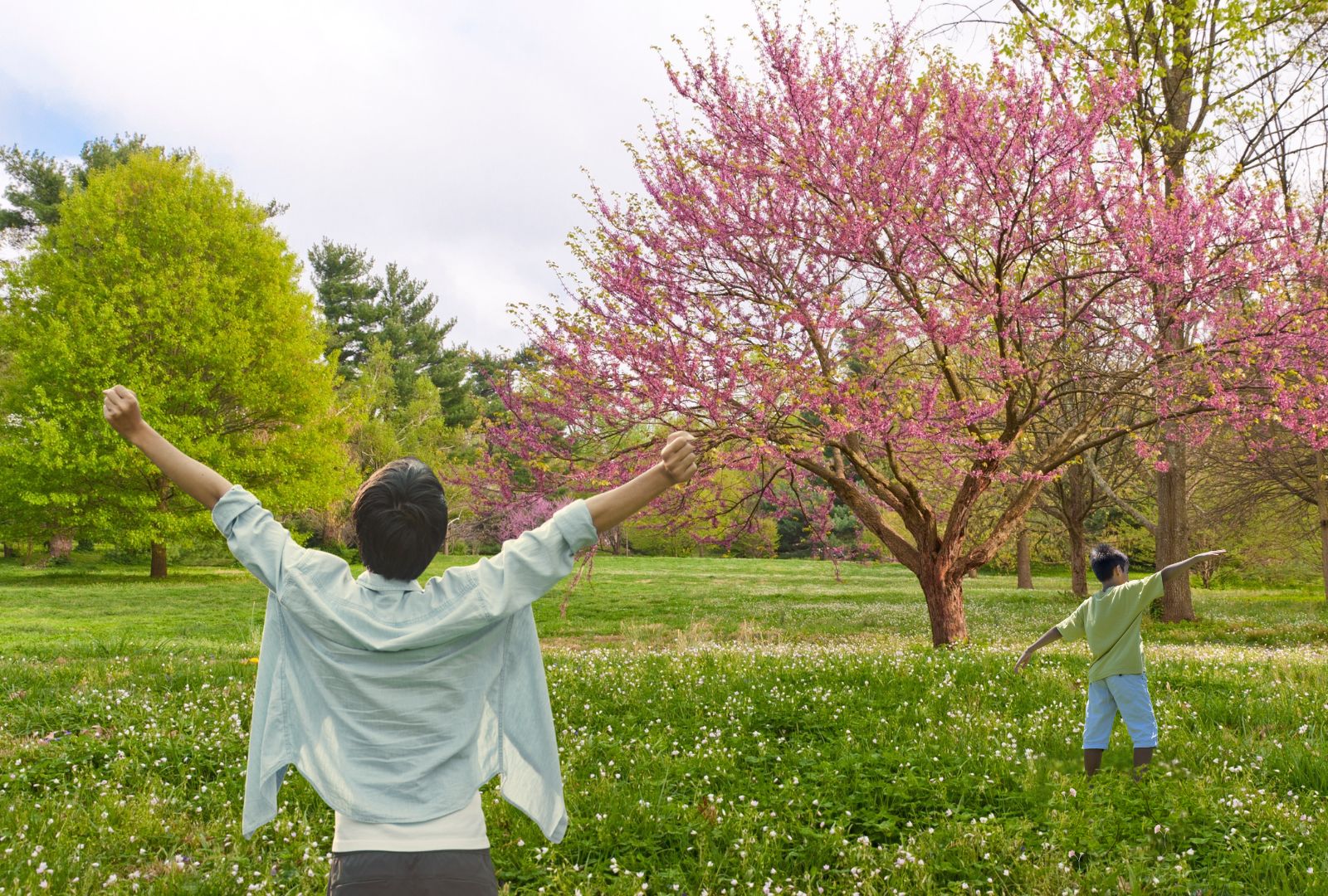 Mental Health Spring Cleaning: Letting Go to Make Room for Growth
