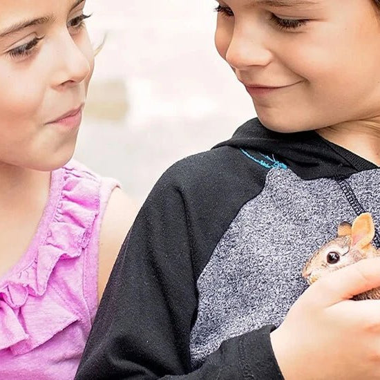 The Best Animal Figurines for Teaching, Collecting, and Imaginative Play - Safari Ltd®