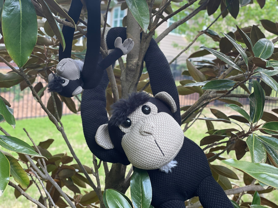 Jane Goodall Tribute Collection