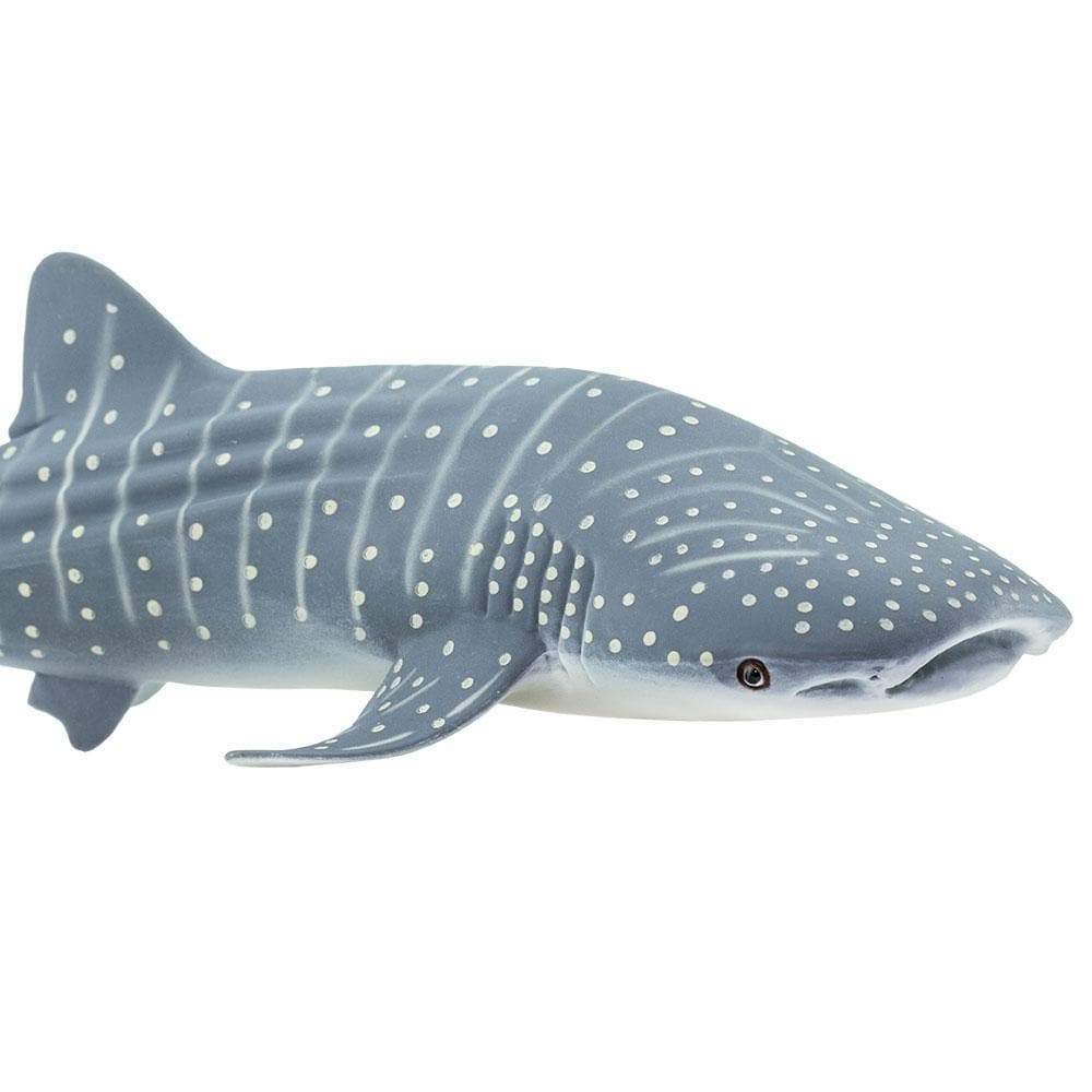 Whale Shark Toy | Sea Life | Safari Ltd®