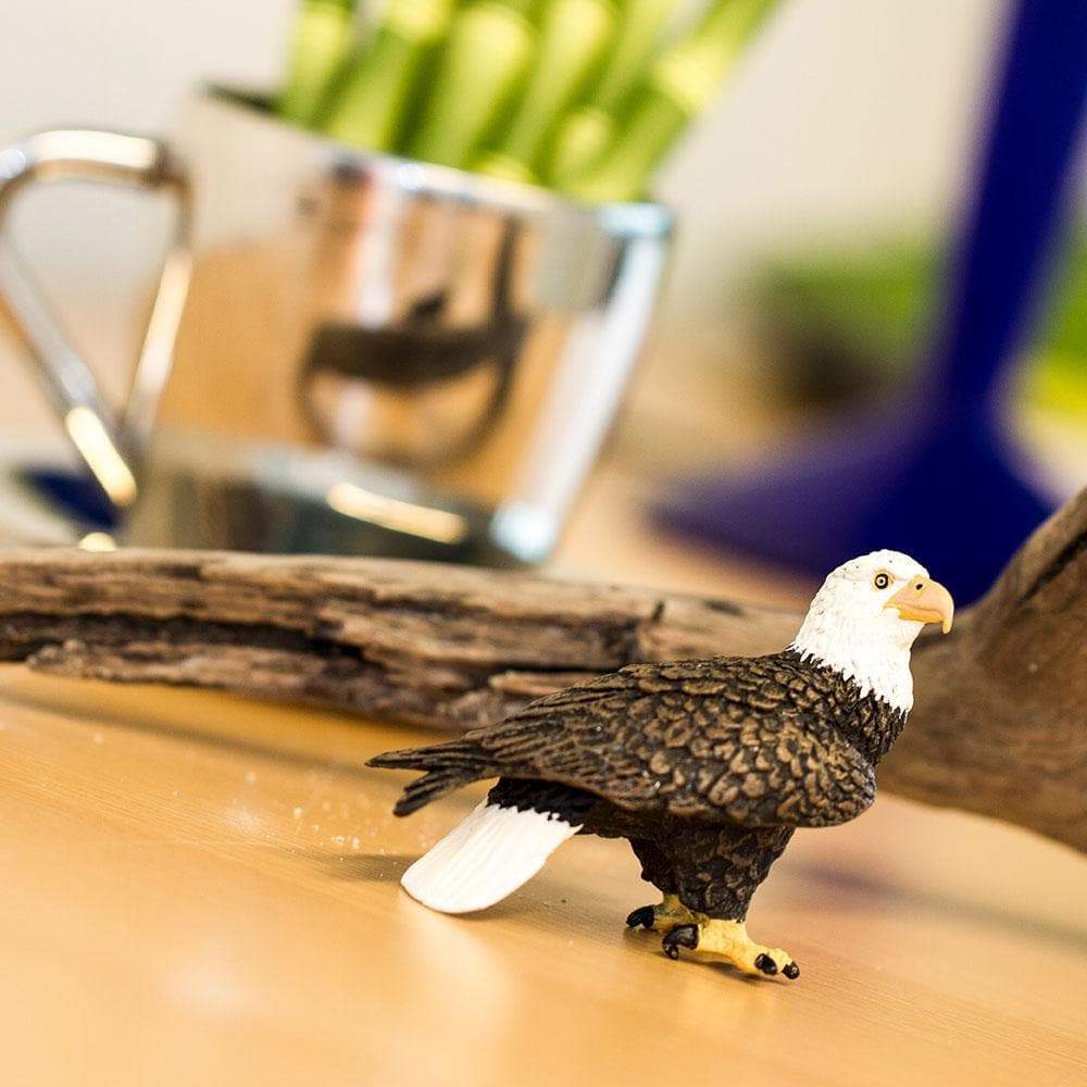 Bald Eagle Toy | Wildlife Animal Toys | Safari Ltd.