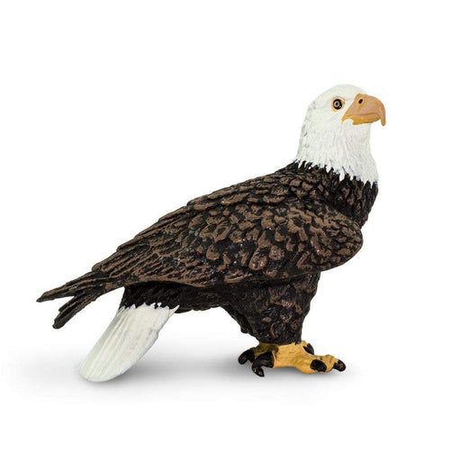 Bald Eagle Toy | Wildlife Animal Toys | Safari Ltd.