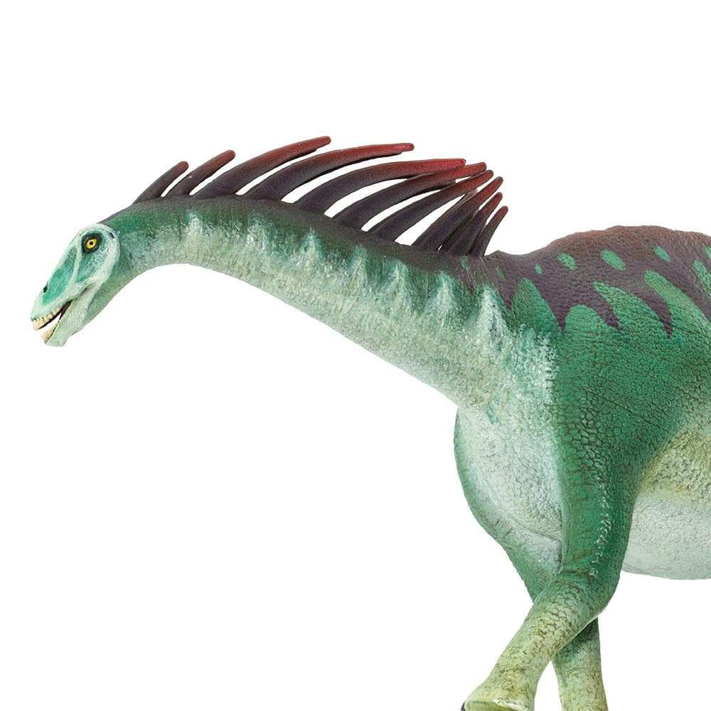 Amargasaurus Toy | Dinosaur Toys | Safari Ltd®