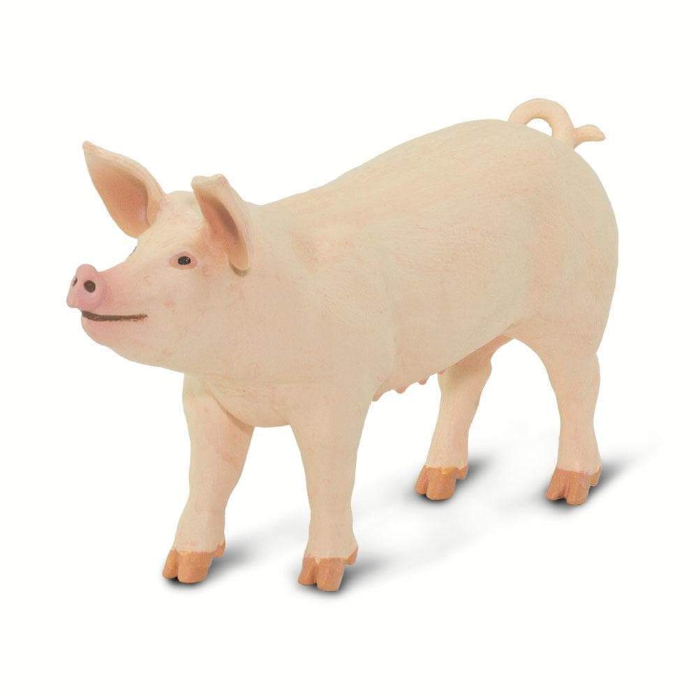 Large White Pig Toy | Incredible Creatures | Safari Ltd®