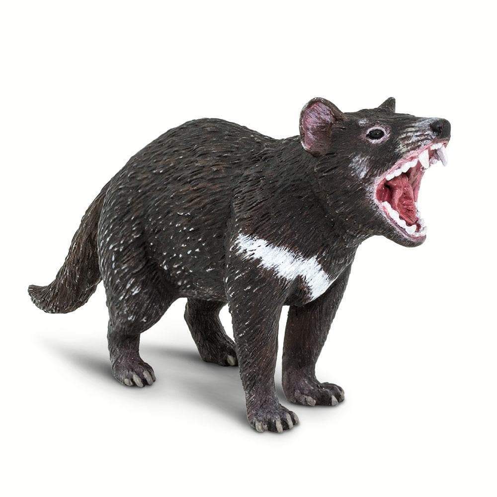 Tasmanian Devil Toy | Wildlife Animal Toys | Safari Ltd®