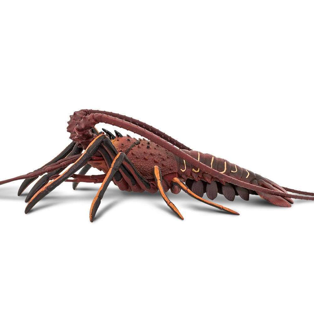 Spiny Lobster Toy | Safari Ltd®