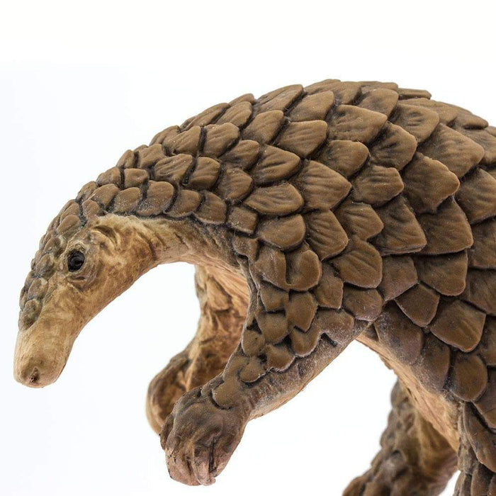 Pangolin Toy | Incredible Creatures | Safari Ltd®