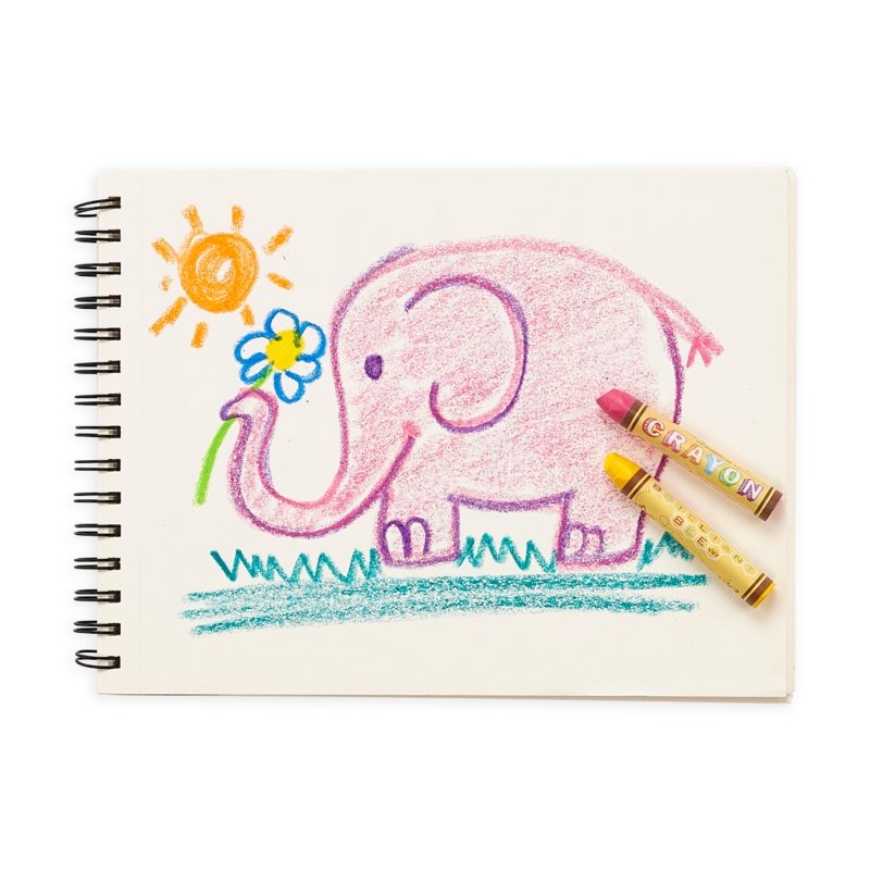 OOLY Brilliant Bee Crayons - Set of 12 |  | Safari Ltd®