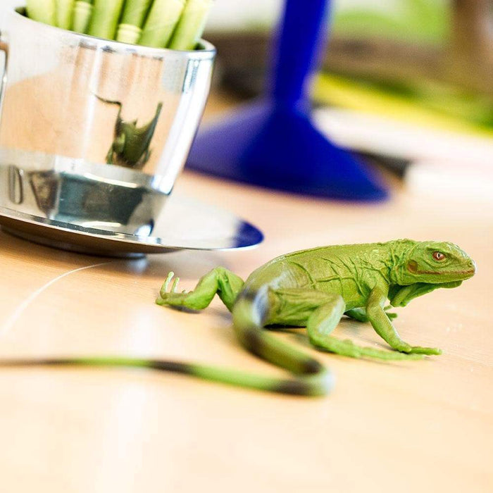 Iguana Baby Toy | Incredible Creatures | Safari Ltd®