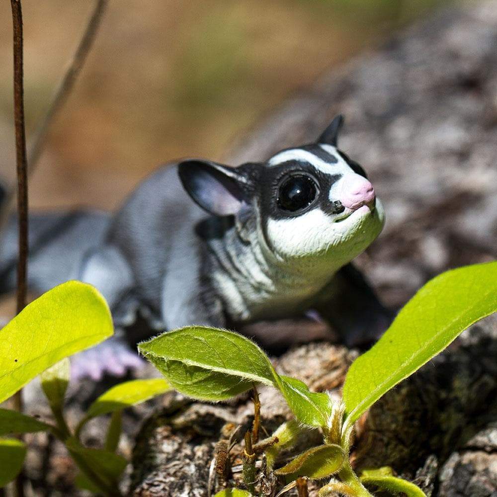 Sugar Glider Toy | Incredible Creatures | Safari Ltd®