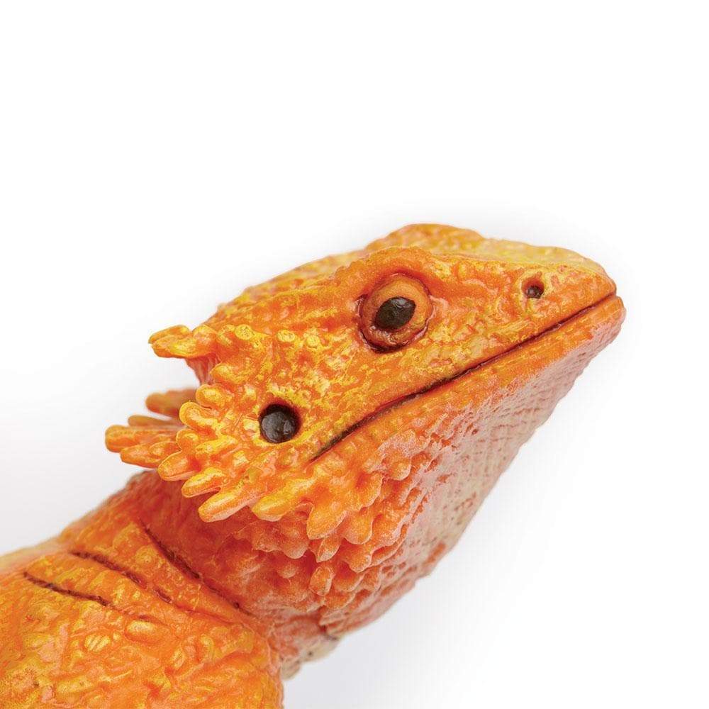 Bearded Dragon Toy | Incredible Creatures | Safari Ltd®