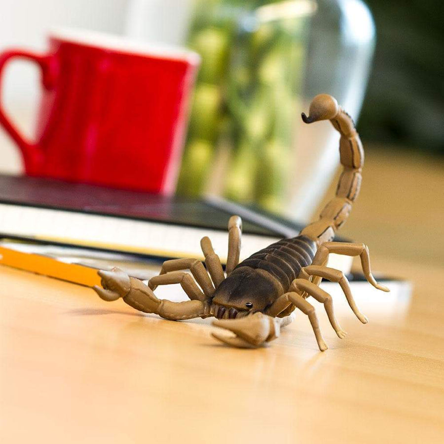 Scorpion - Safari Ltd®