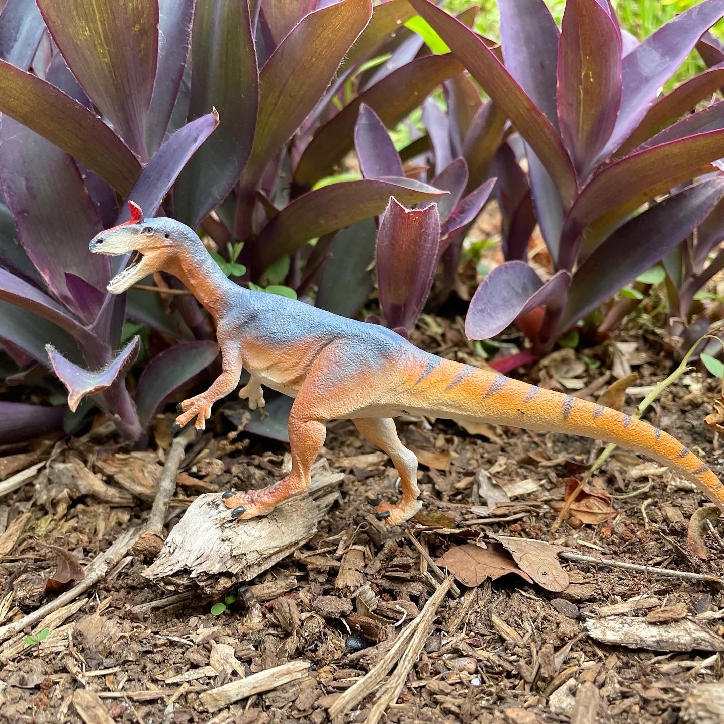Cryolophosaurus Toy Dinosaur Figure |  | Safari Ltd®