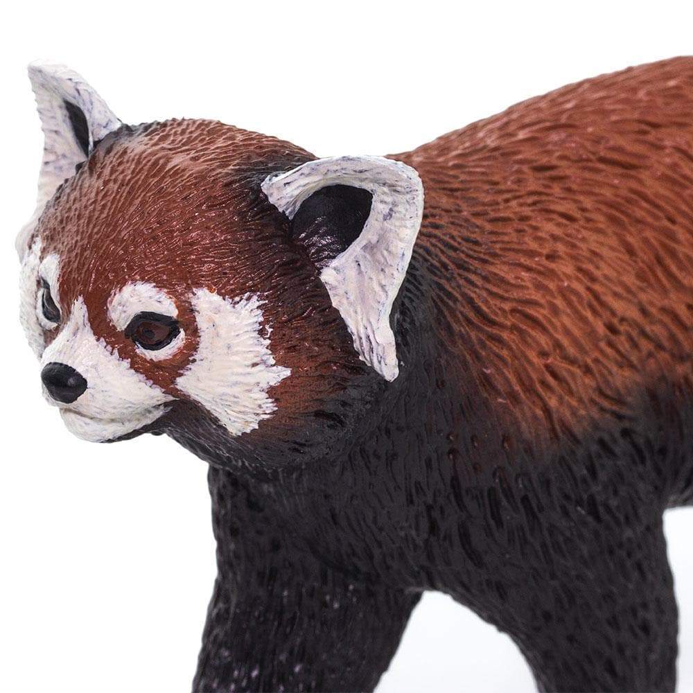 Red Panda Toy Figurine | Safari Ltd® Wild Wildlife Collection