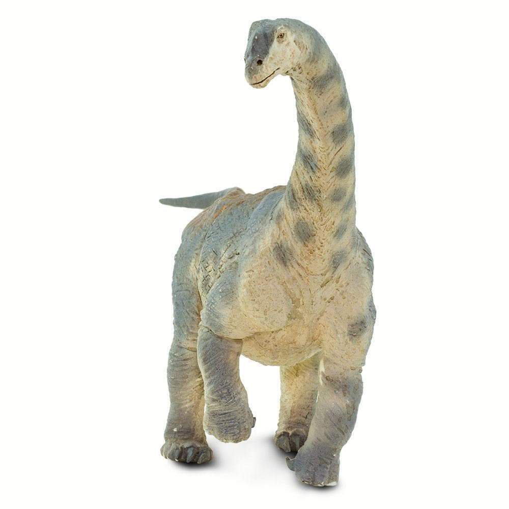 Camarasaurus Toy | Dinosaur Toys | Safari Ltd®