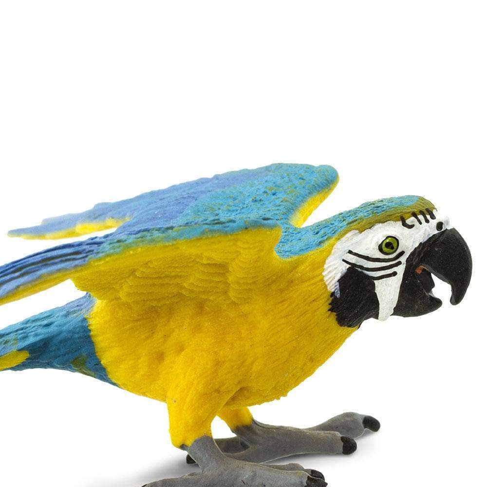 Blue & Gold Macaw Toy | Wildlife Animal Toys | Safari Ltd®