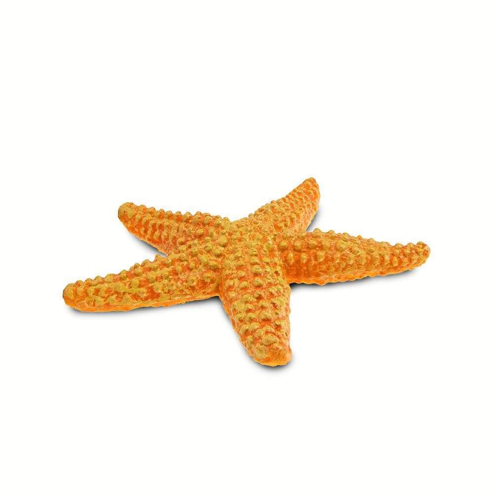 Orange Starfish Toy | Sea Life | Safari Ltd®