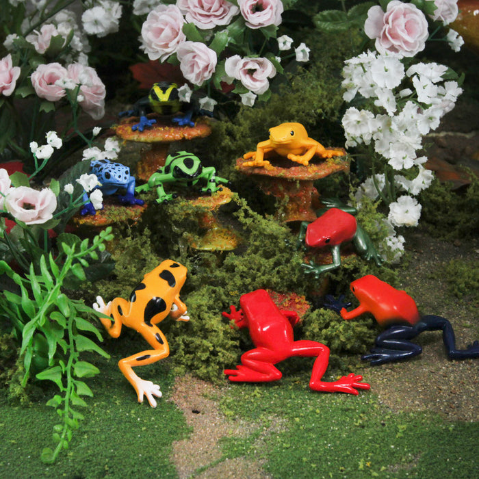 Tropical Rain Forest Frogs, Part 1 (Real Figure Collection Box by