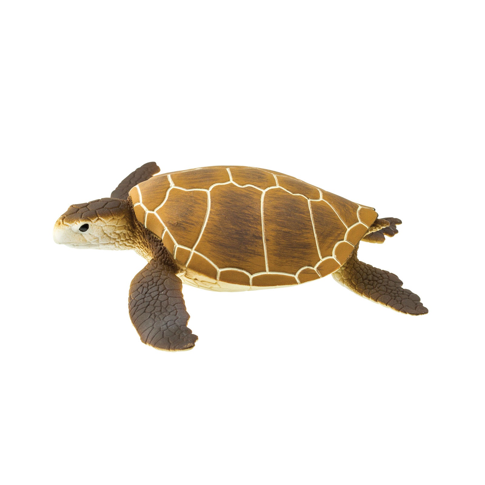 Green Sea Turtle Toy | Safari Ltd®