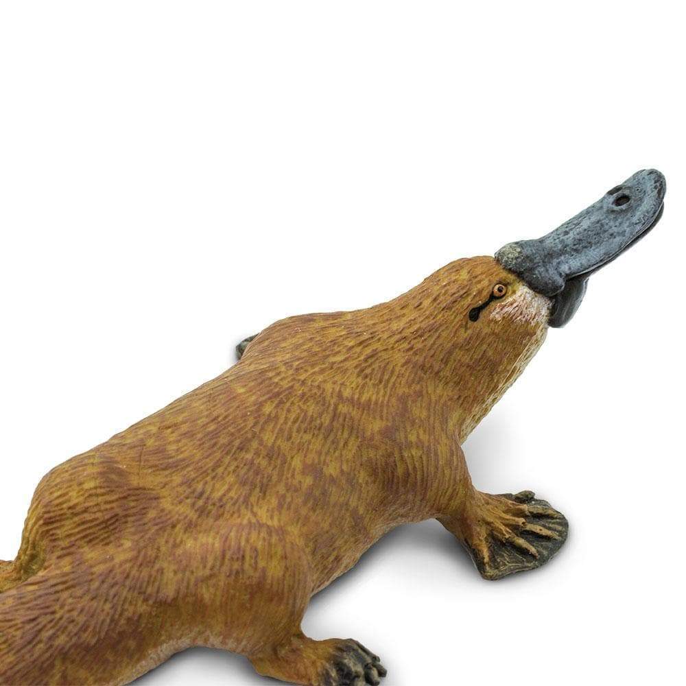 Platypus Toy | Wildlife Animal Toys | Safari Ltd®