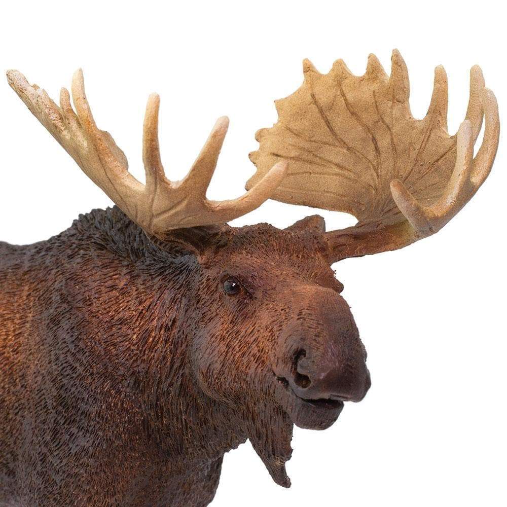 Moose Toy | Wildlife Animal Toys | Safari Ltd®
