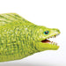 Moray Eel Toy | Incredible Creatures | Safari Ltd®