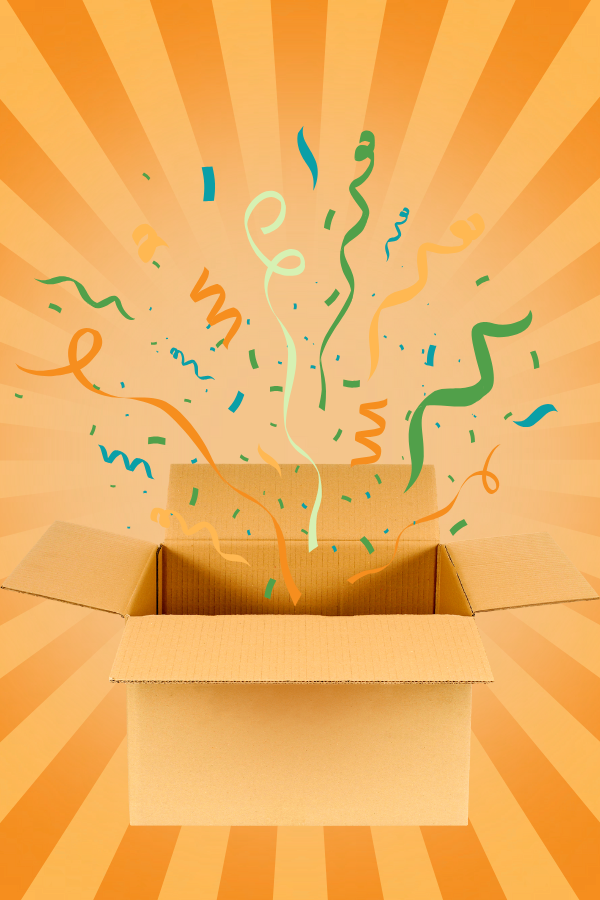 Safari Surprise Box