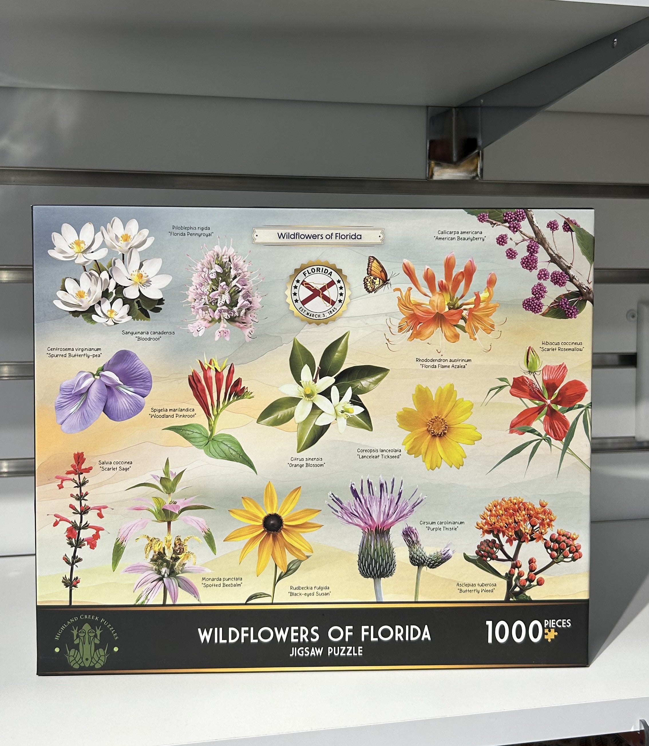 Wildflowers of Florida Puzzle |  | Safari Ltd®