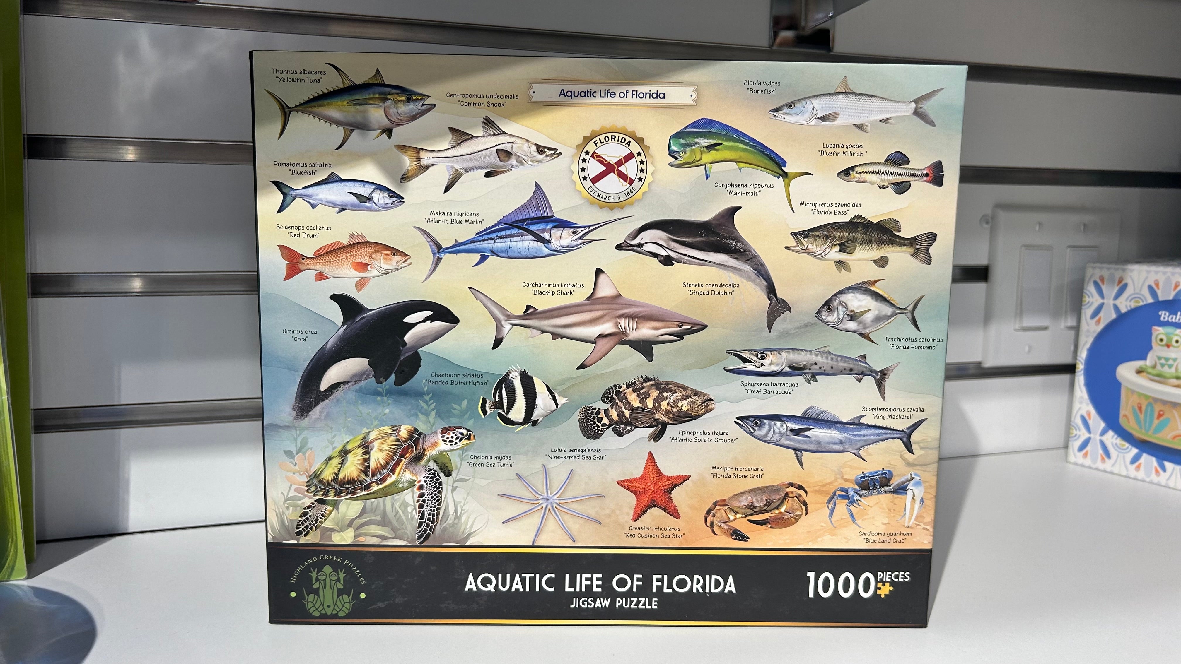 Aquatic Life of Florida Puzzle |  | Safari Ltd®