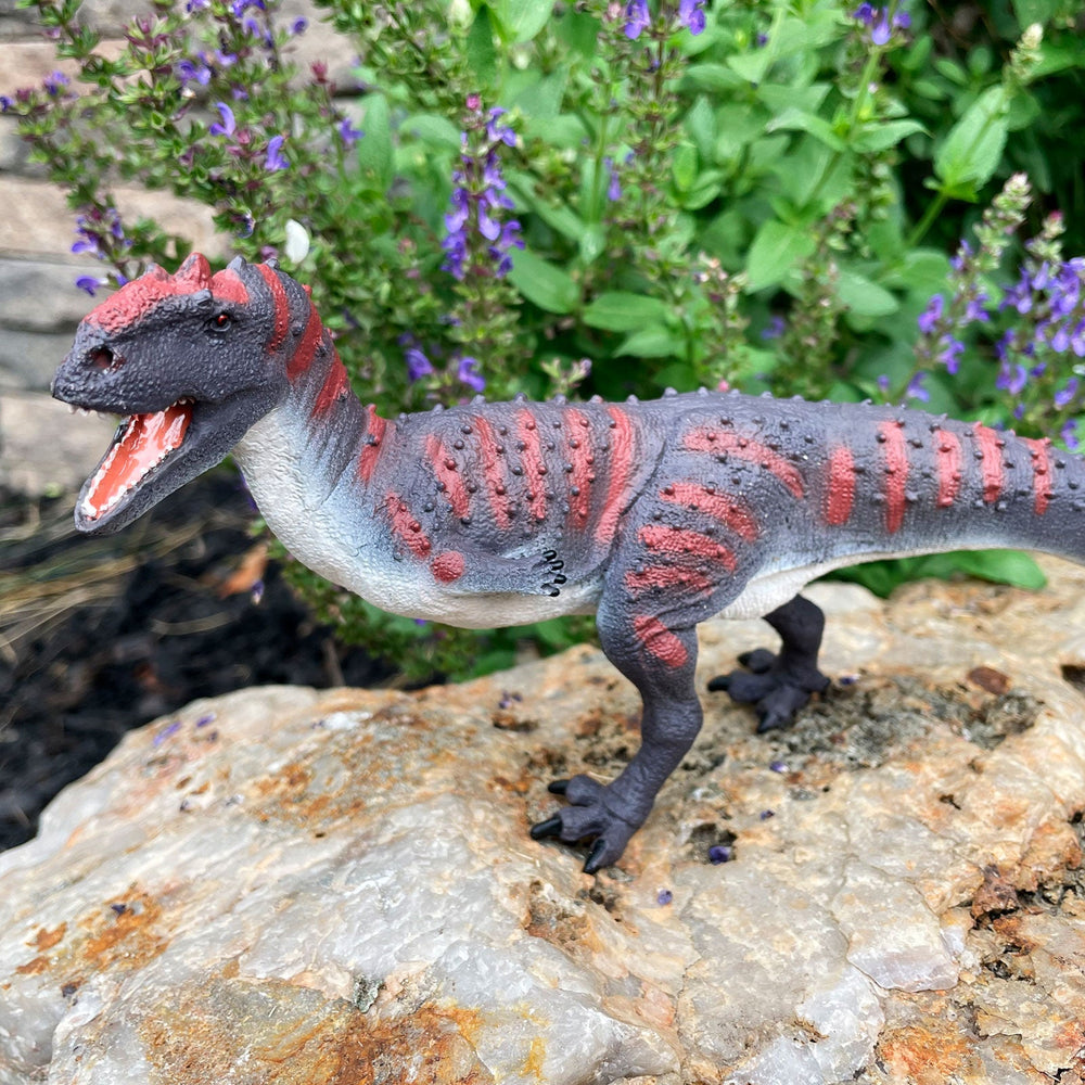 Majungasaurus Toy | Safari Ltd®
