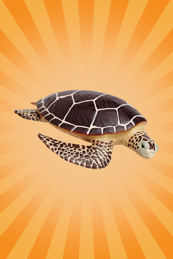 Safari Surprise Box ($50 Value Surprise for Spending $100)