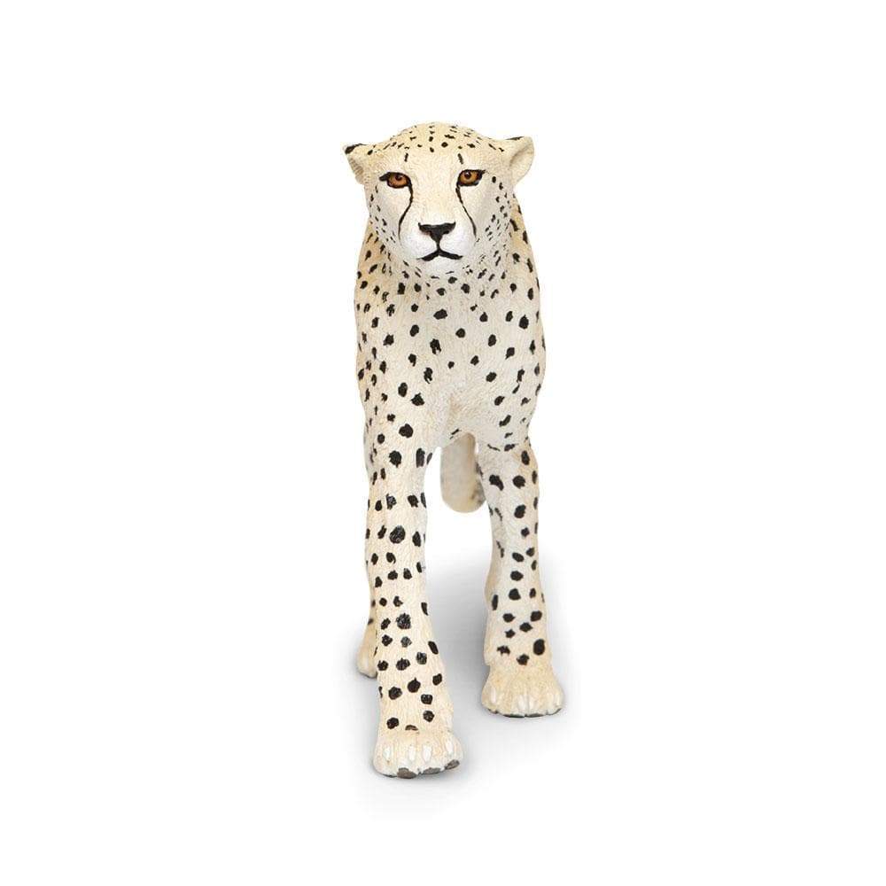 Cheetah Toy | Wildlife Animal Toys | Safari Ltd®