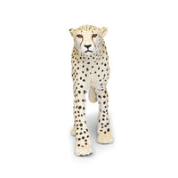 Cheetah Toy | Wildlife Animal Toys | Safari Ltd®