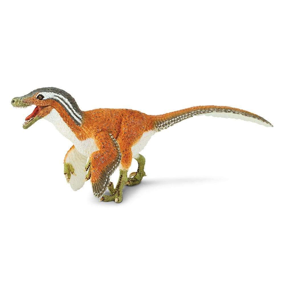 Feathered Velociraptor Toy | Dinosaur Toys | Safari Ltd®